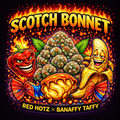 SCOTCH BONNET