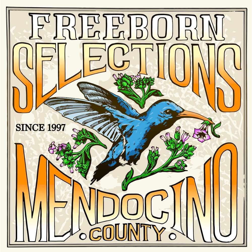 Berner’s Gelato x Gelato 33 x Cherry Limeade F5